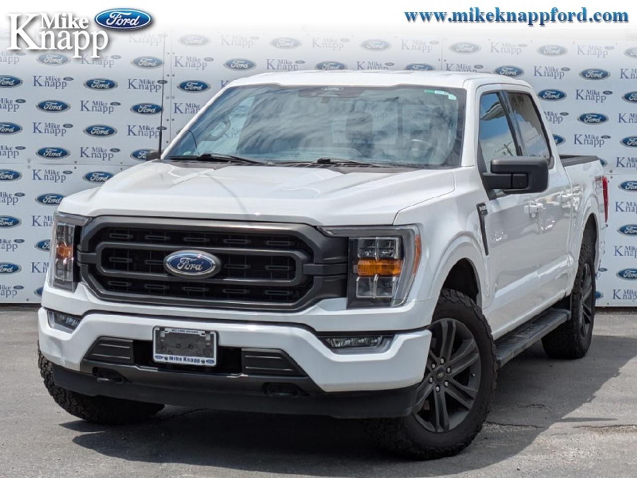 2022 Ford F-150 XLT Photo