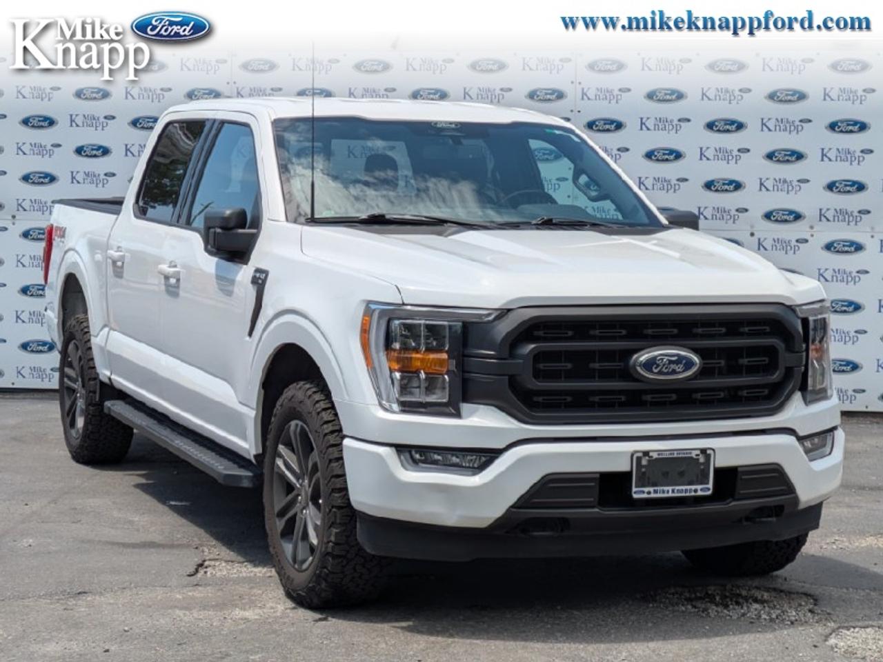 2022 Ford F-150 XLT Photo