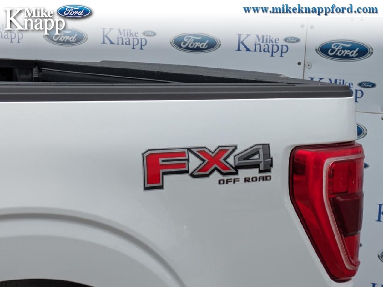 2022 Ford F-150 XLT Photo