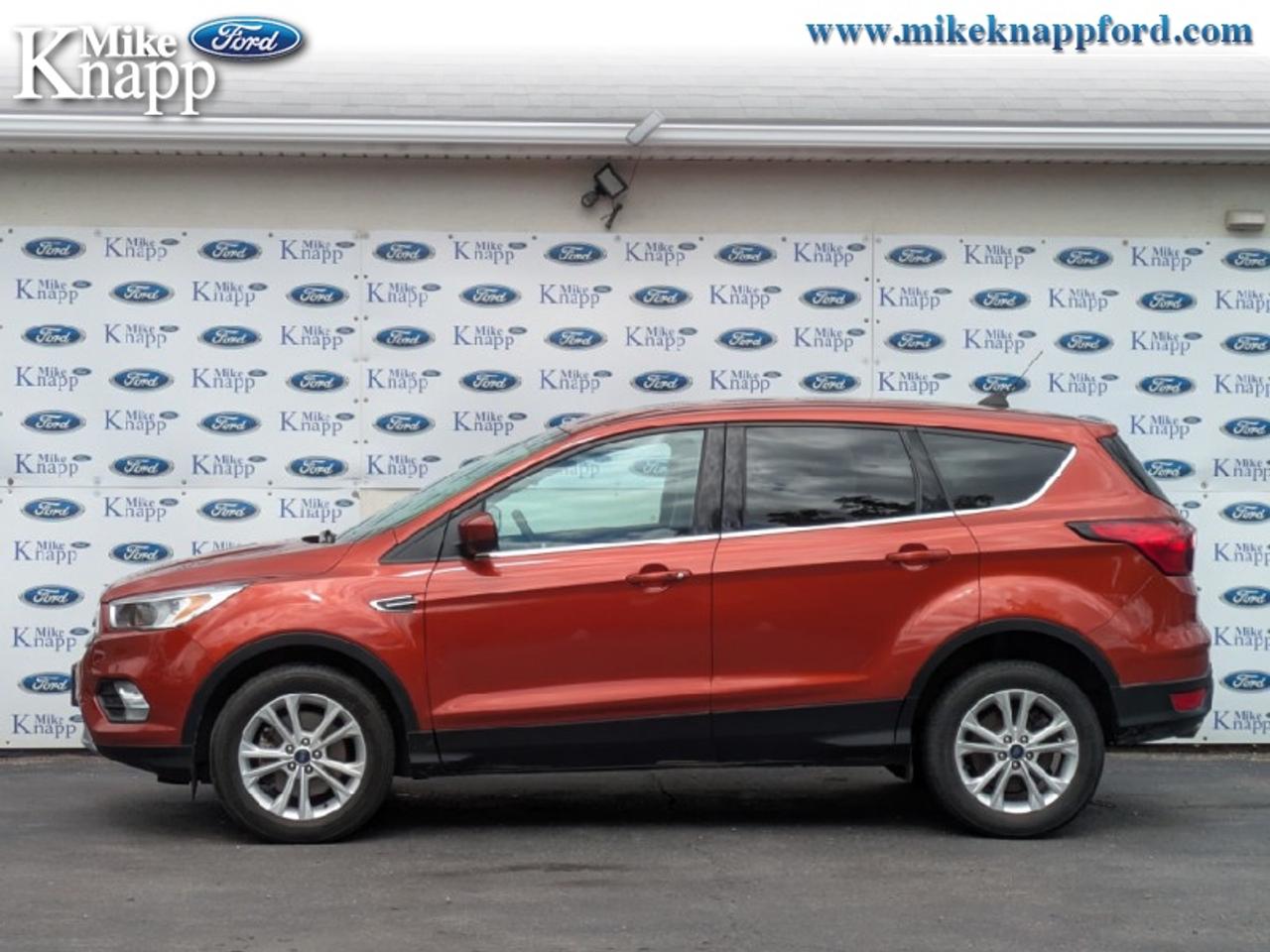 2019 Ford Escape SE 4WD Photo