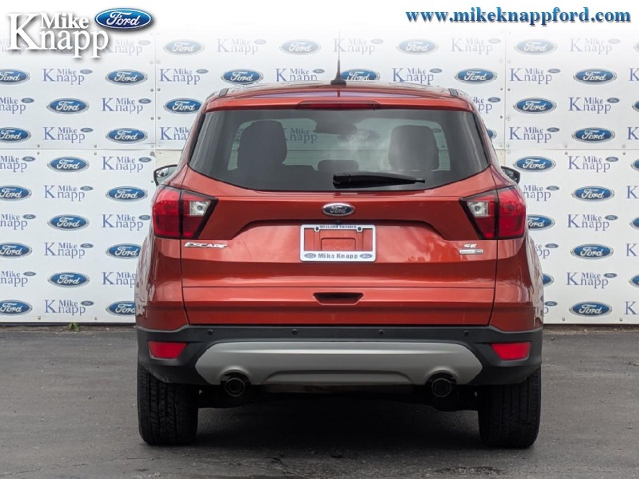 2019 Ford Escape SE 4WD Photo