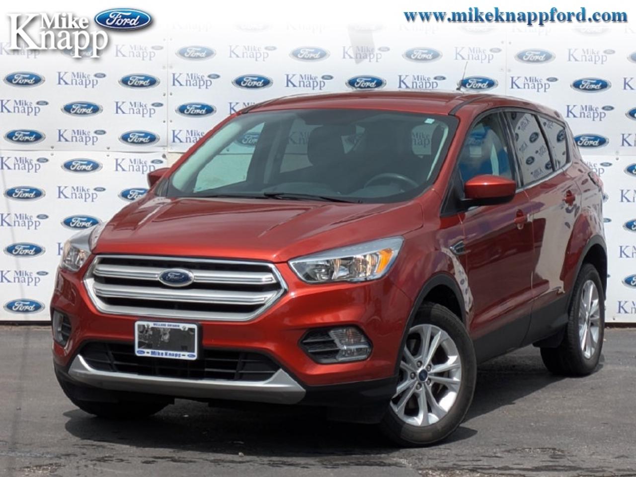 2019 Ford Escape SE 4WD Photo0