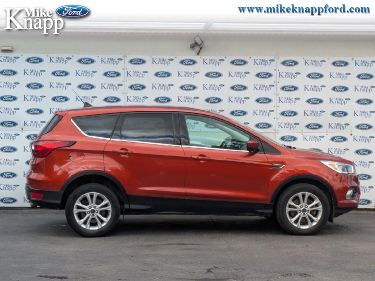 2019 Ford Escape SE 4WD Photo