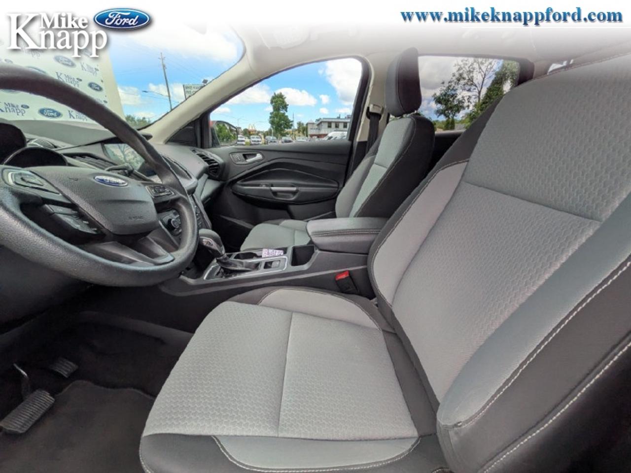 2019 Ford Escape SE 4WD Photo