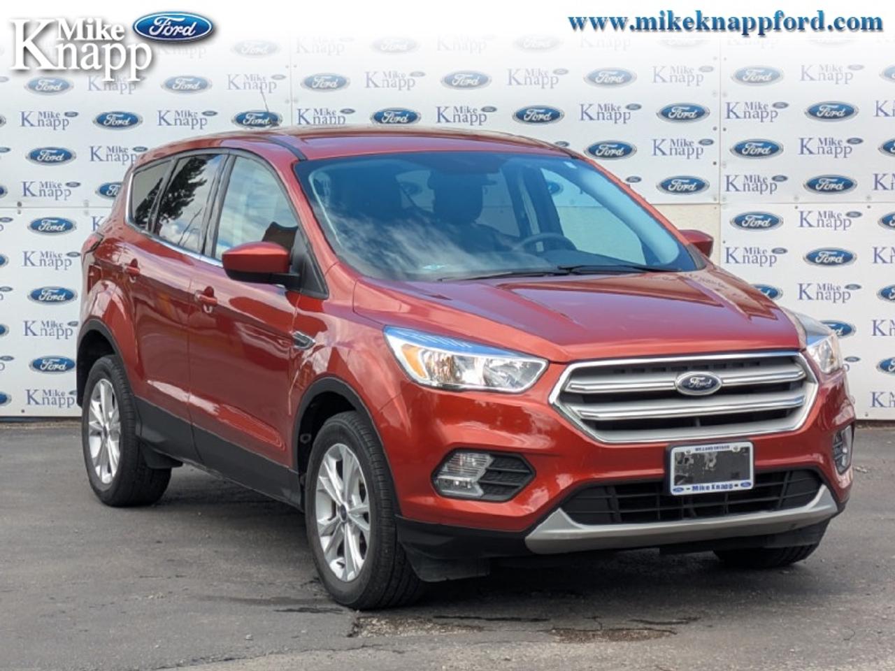 2019 Ford Escape SE 4WD Photo