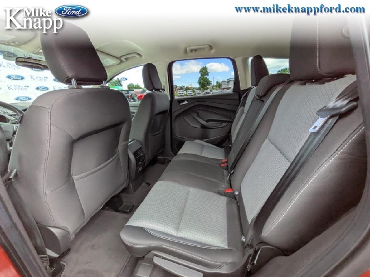 2019 Ford Escape SE 4WD Photo