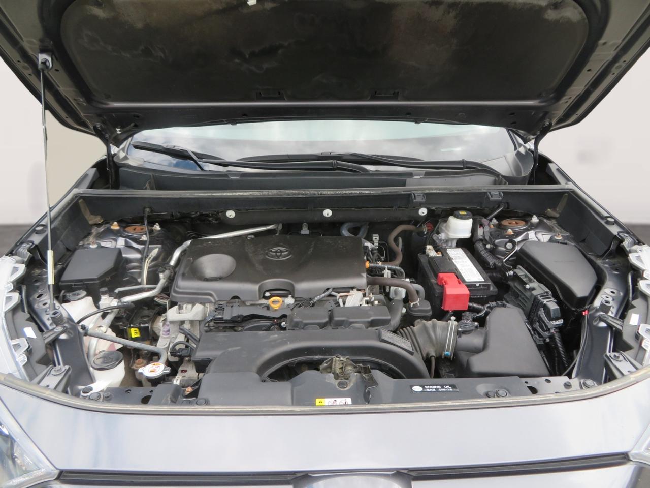 2020 Toyota RAV4 LE AWD Photo
