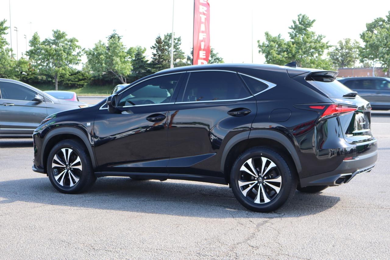 2019 Lexus NX 300 AWD   F-SPORT   RED INTERIOR Photo4