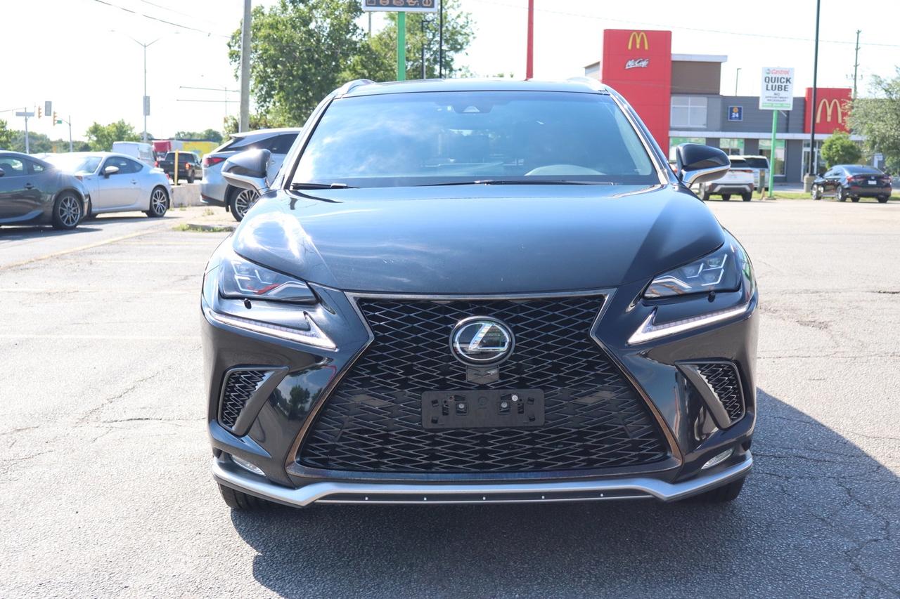 2019 Lexus NX 300 AWD   F-SPORT   RED INTERIOR Photo