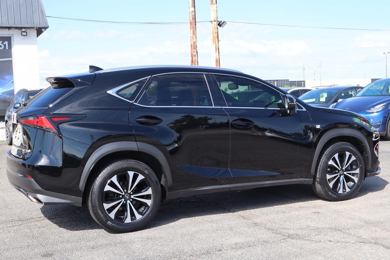 2019 Lexus NX 300 AWD   F-SPORT   RED INTERIOR Photo