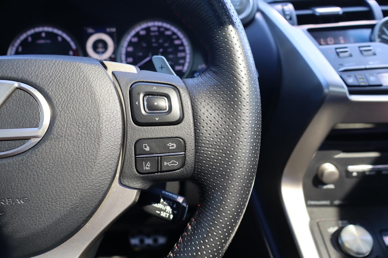 2019 Lexus NX 300 AWD   F-SPORT   RED INTERIOR Photo