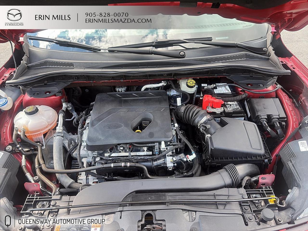 2020 Ford Escape SE Photo