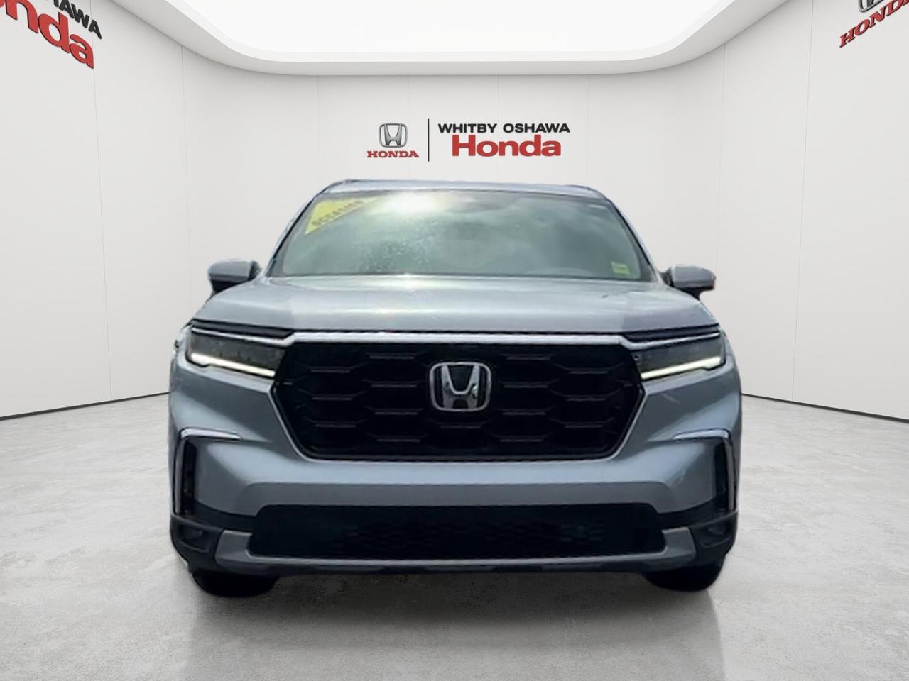2025 Honda Pilot Touring AWD Photo
