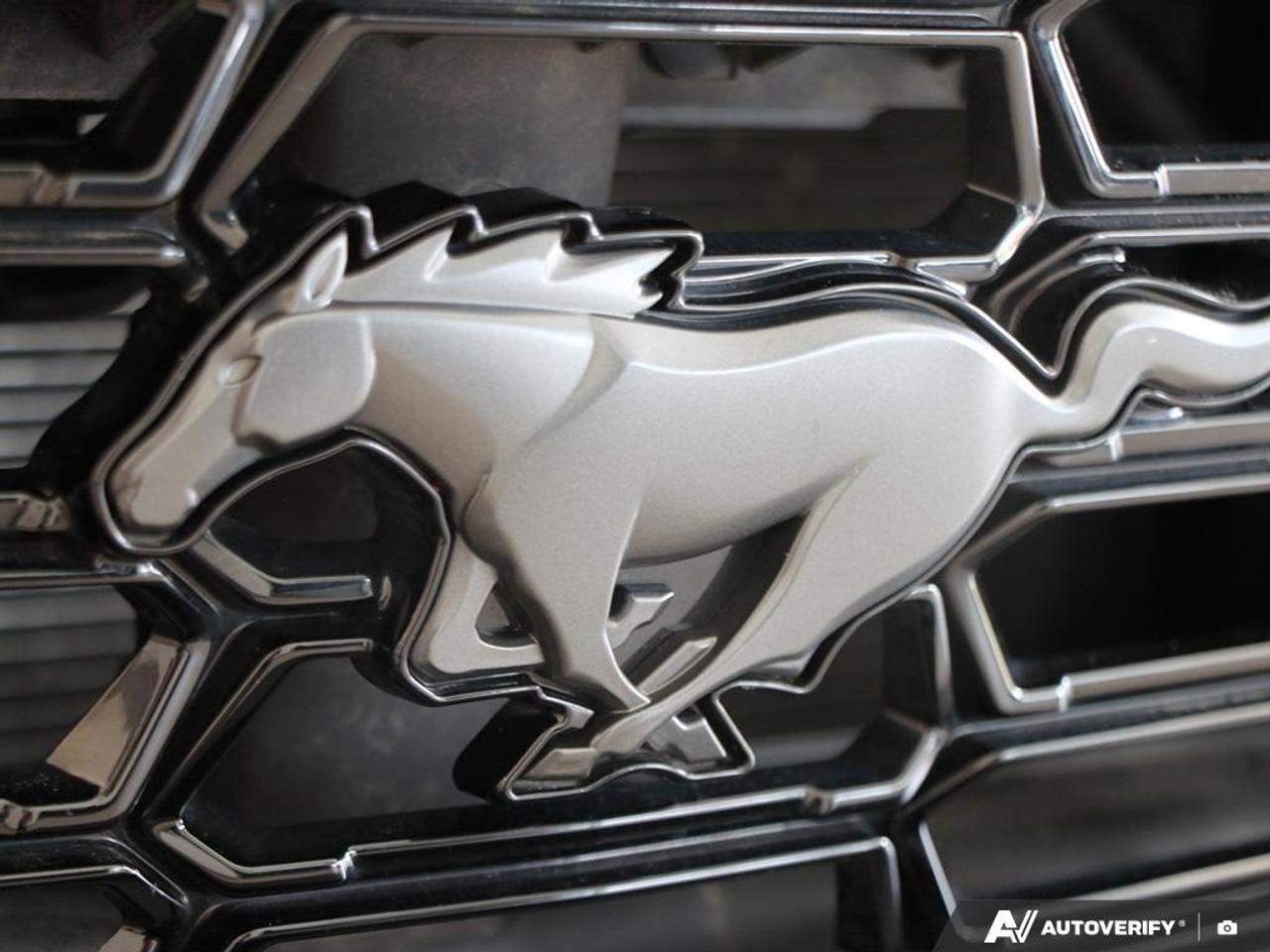 2024 Ford Mustang Dark Horse Fastback Photo