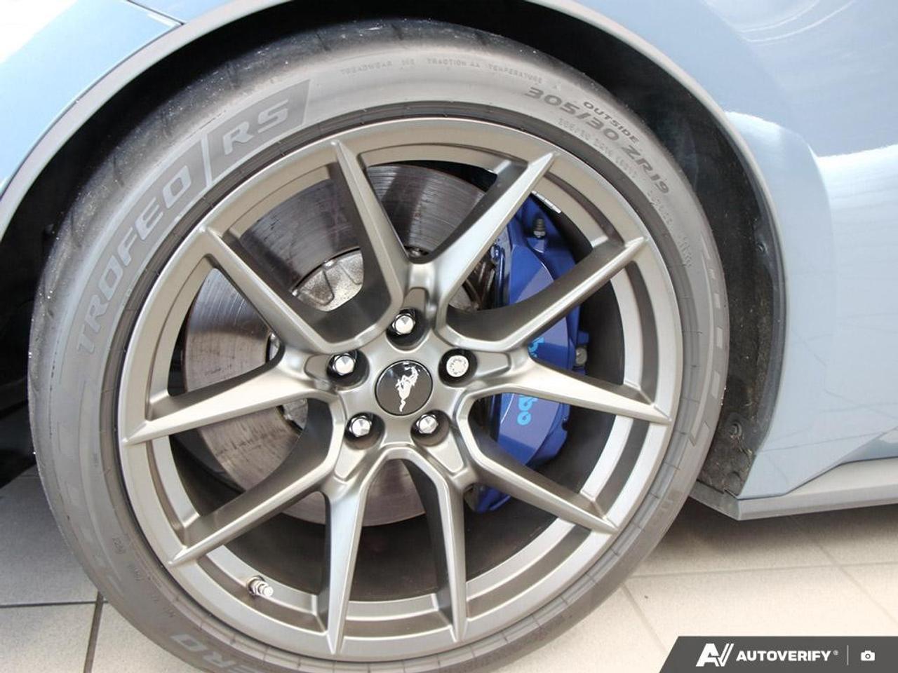 2024 Ford Mustang Dark Horse Fastback Photo