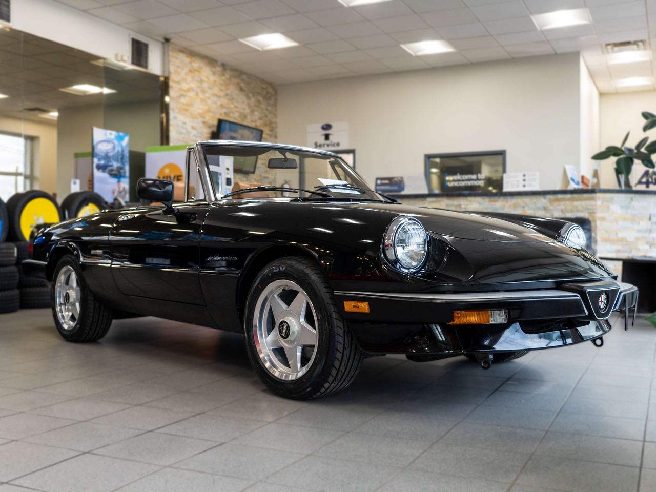 1989 Alfa Romeo Spider 2dr Coupe Veloce Photo