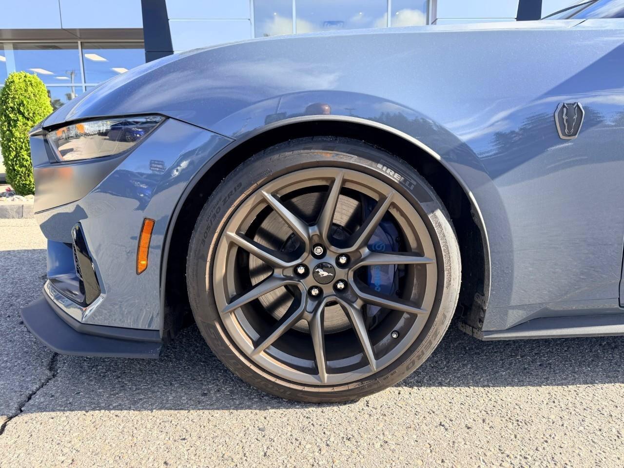 2024 Ford Mustang Dark Horse Fastback Photo