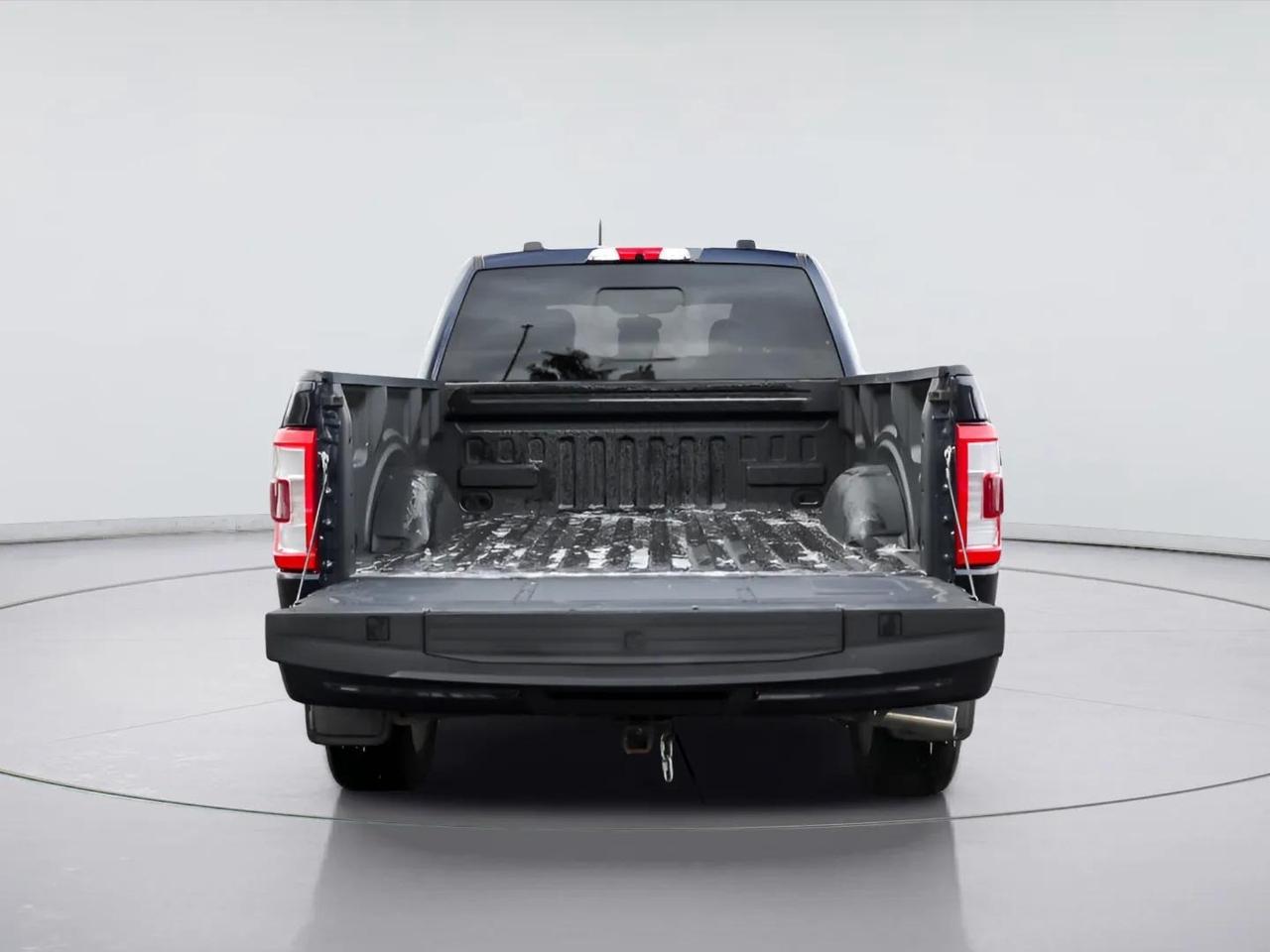 2022 Ford F-150 PLATINUM 3.5L HYBRID V6 Photo