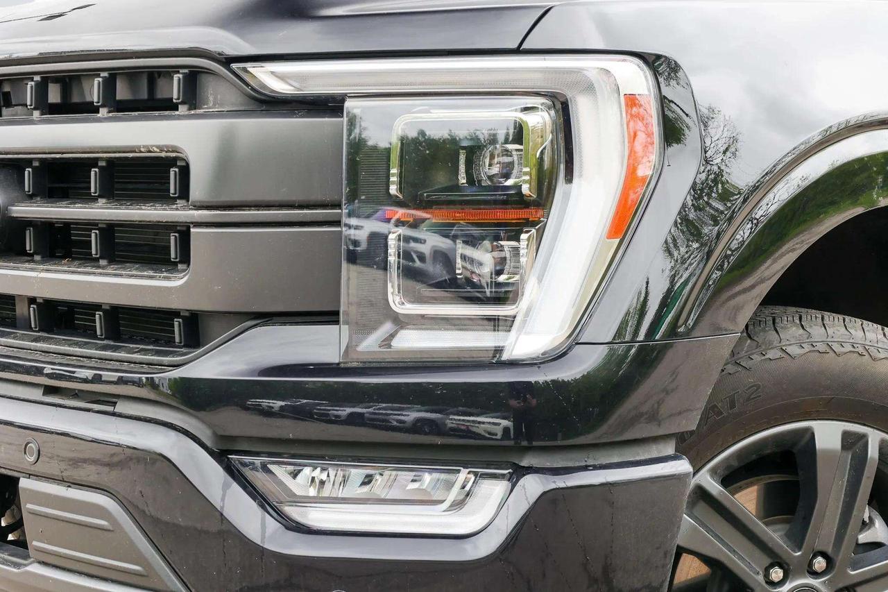 2023 Ford F-150  Photo