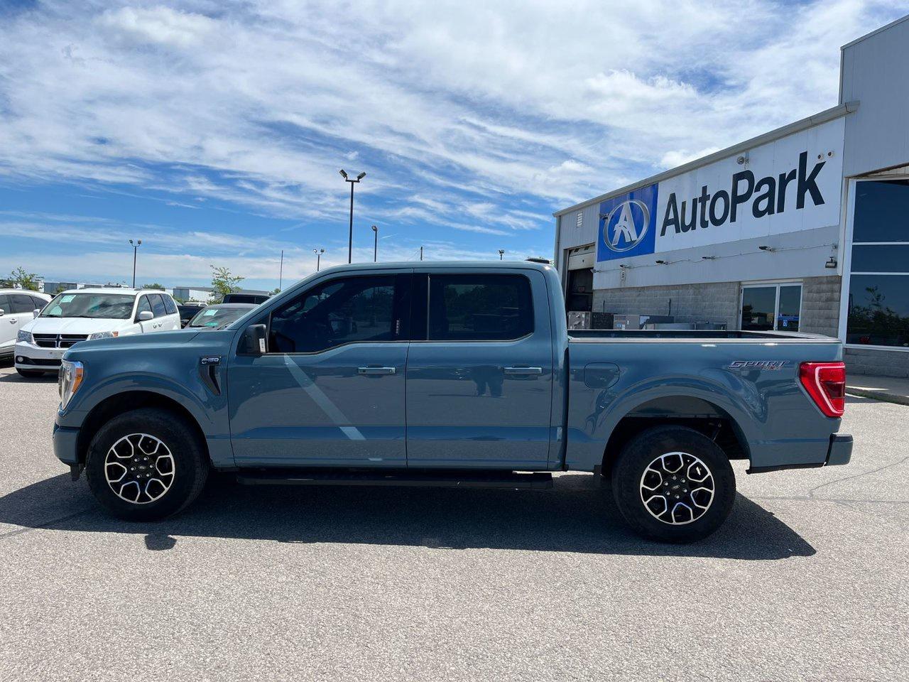 2023 Ford F-150 XLT 4WD SuperCrew 5.5' Box Photo