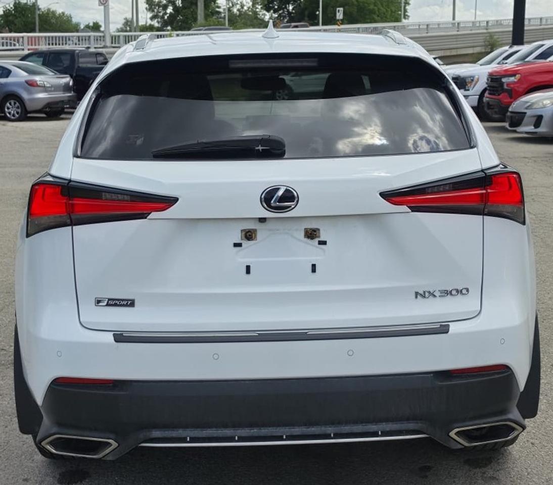 2020 Lexus NX NX300 FSPORT / NO ACCIDENTS / LEATHER / ROOF / NAV Photo2