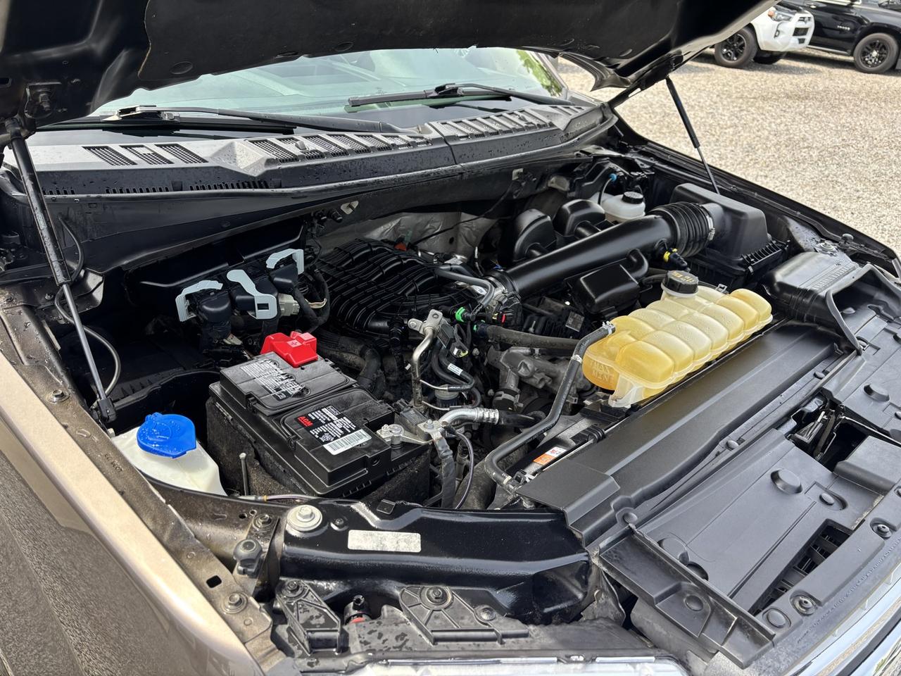 2019 Ford F-150 XLT Supercrew No Accidents~One Owner Photo