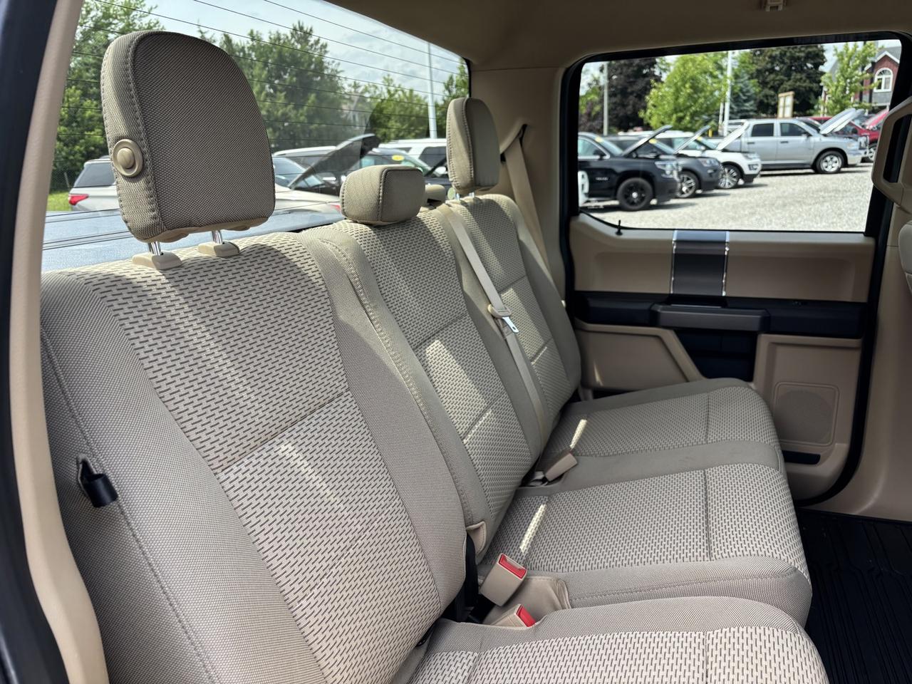 2019 Ford F-150 XLT Supercrew No Accidents~One Owner Photo