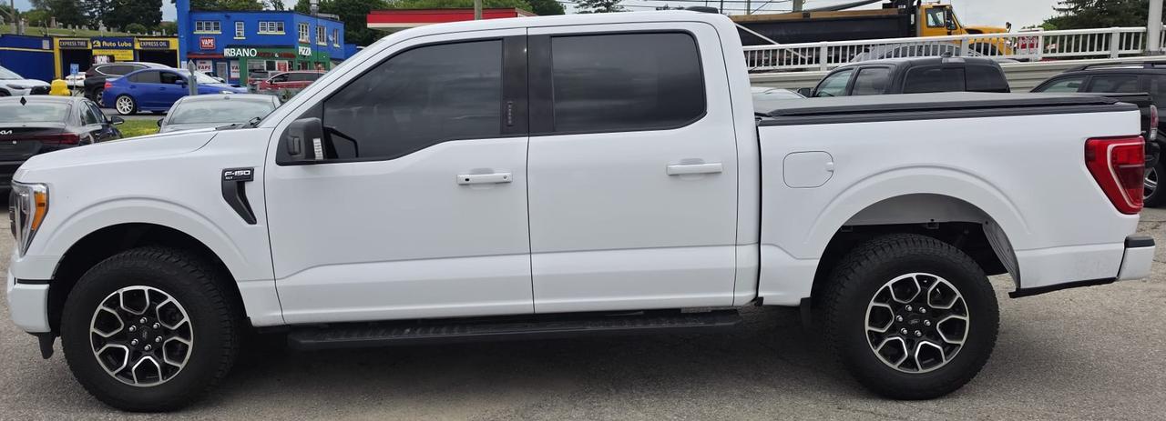 2021 Ford F-150 XLT / SPORT / NAV / 4WD / HTD SEATS / 5.0L V8 Photo