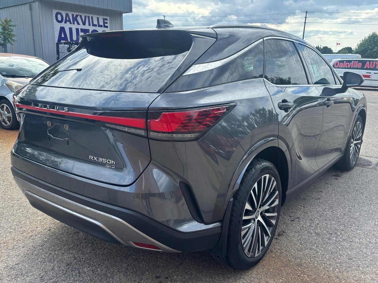 2024 Lexus RX 350 RX 350h Auto Photo