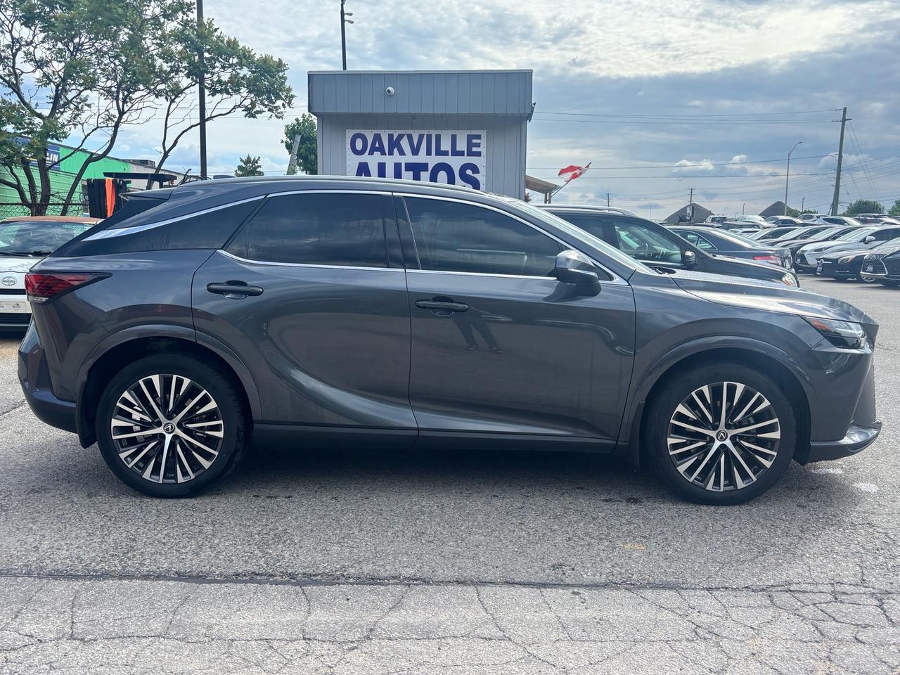 2024 Lexus RX 350 RX 350h Auto Photo