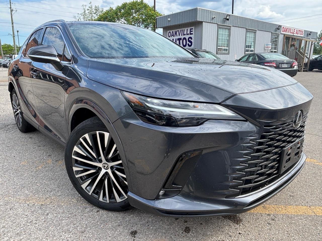 2024 Lexus RX 350 RX 350h Auto Photo