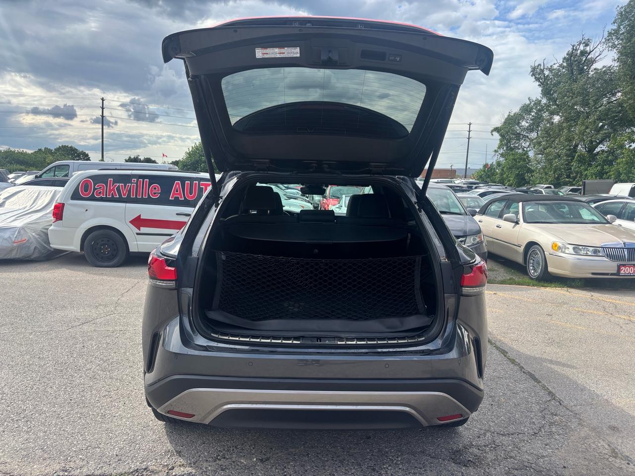 2024 Lexus RX 350 RX 350h Auto Photo