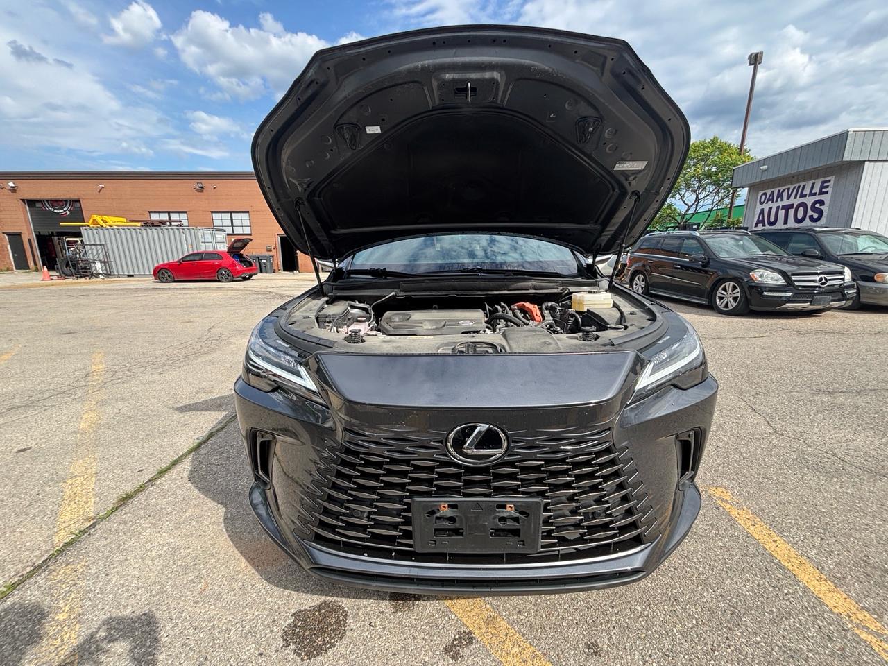 2024 Lexus RX 350 RX 350h Auto Photo