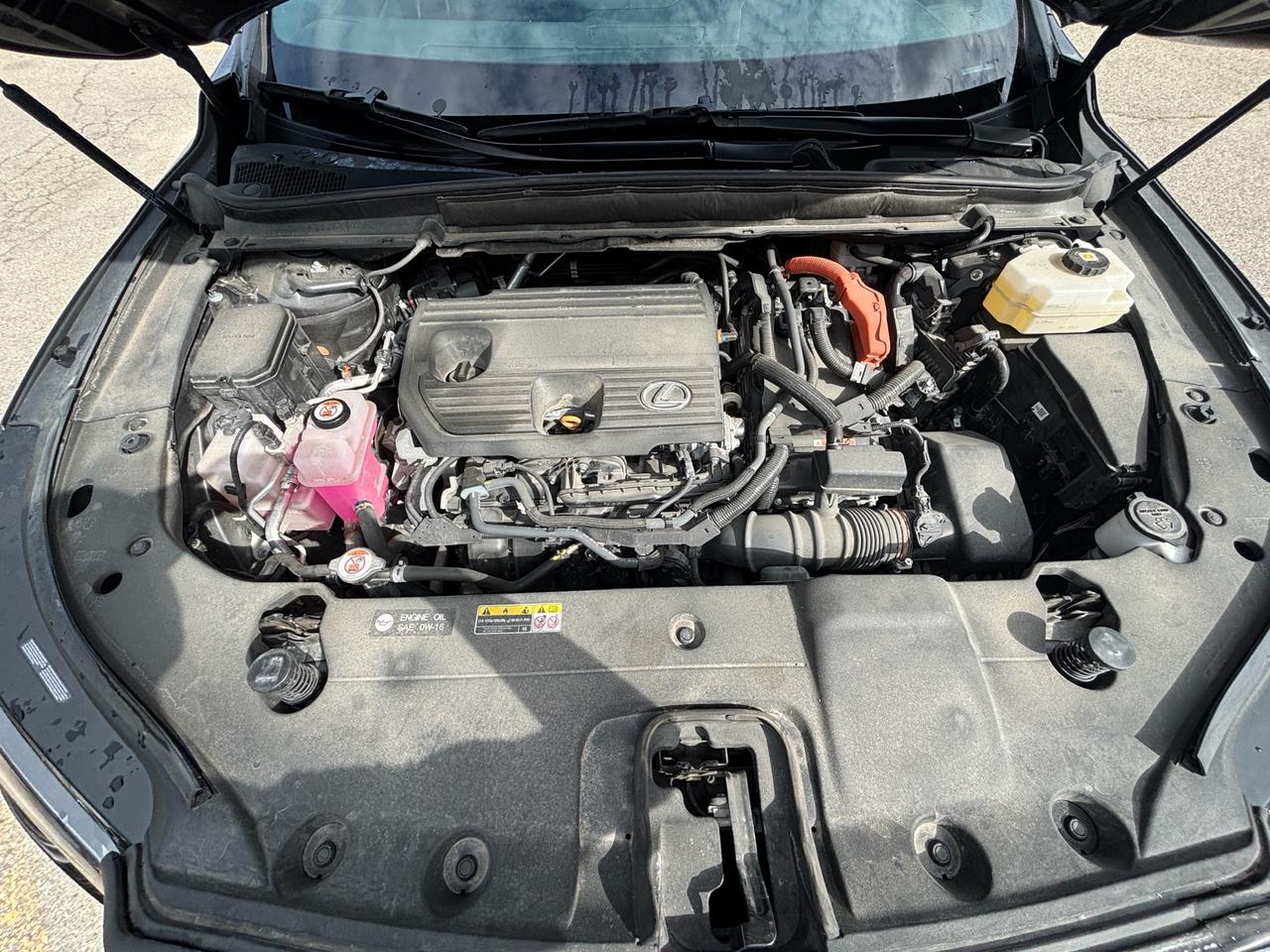 2024 Lexus RX 350 RX 350h Auto Photo