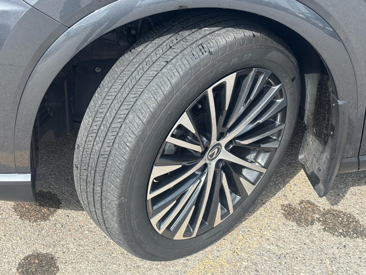 2024 Lexus RX 350 RX 350h Auto Photo