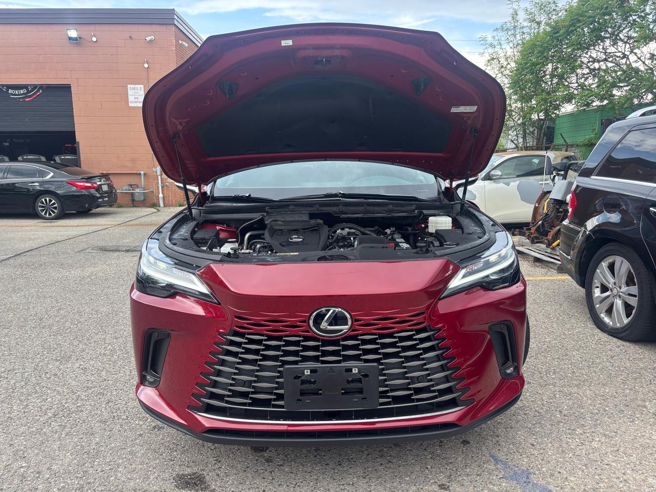 2023 Lexus RX 350 RX 350 Auto Photo