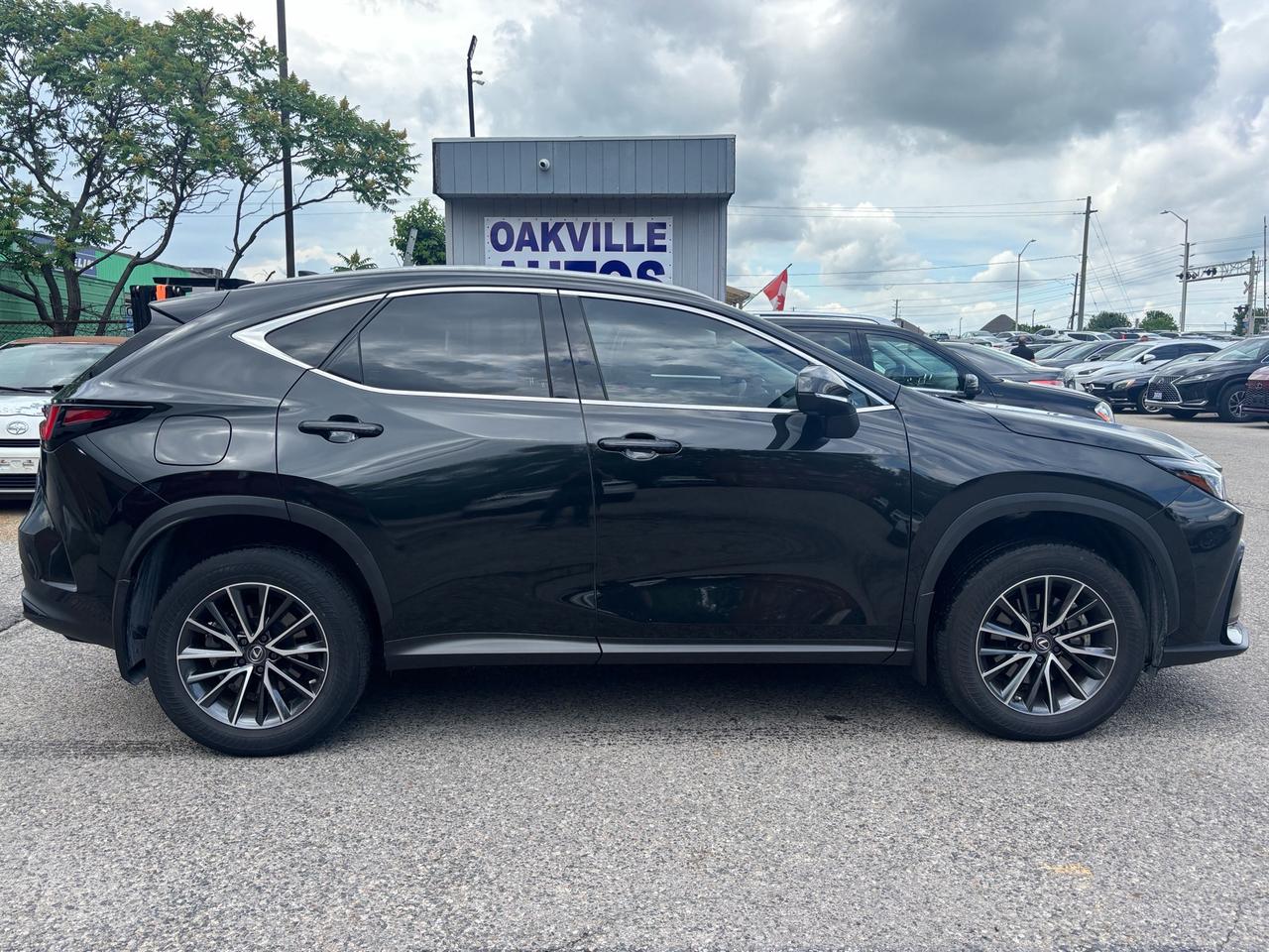 2022 Lexus NX 450H NX 450h  Plug in Hybrid AWD Photo