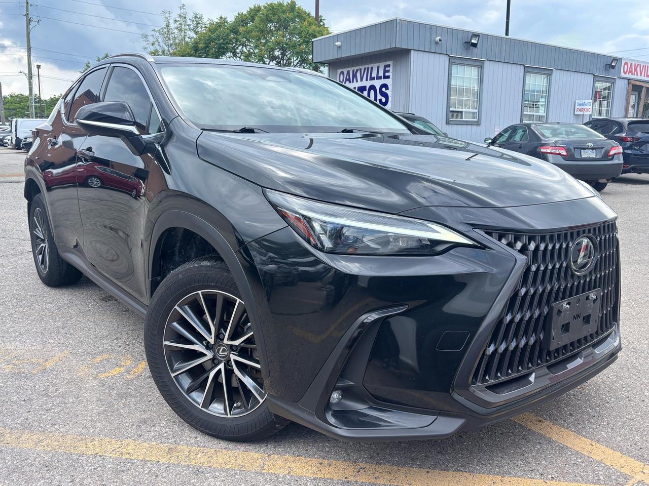 2022 Lexus NX 450H NX 450h  Plug in Hybrid AWD Photo