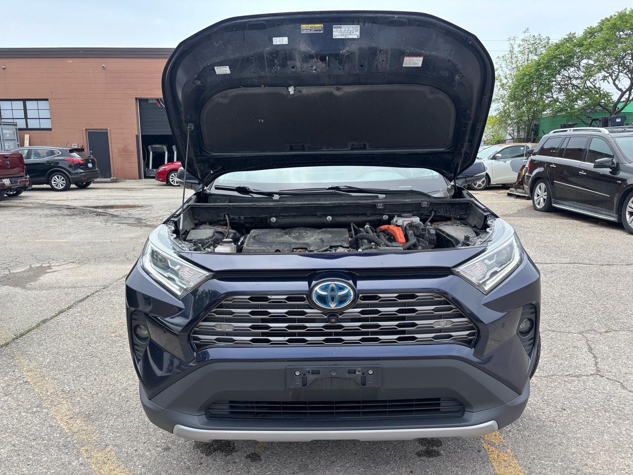 2020 Toyota RAV4 Hybrid Limited AWD Photo