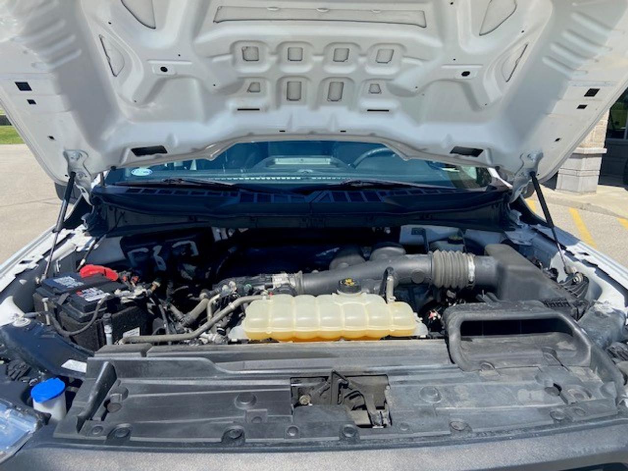 2022 Ford F-150 XL 4WD REG CAB 8' BOX Photo