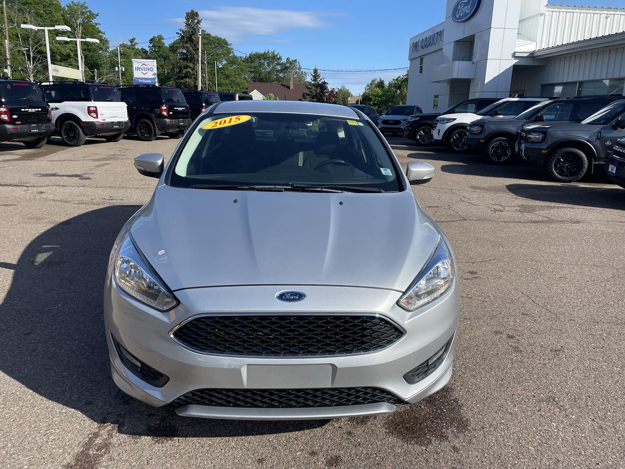 2015 Ford Focus SE Photo1