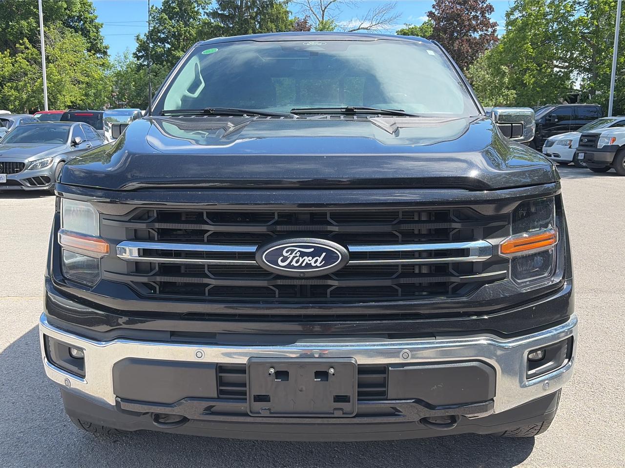 2024 Ford F-150 XLT 4WD SuperCrew 6.5' Box Photo