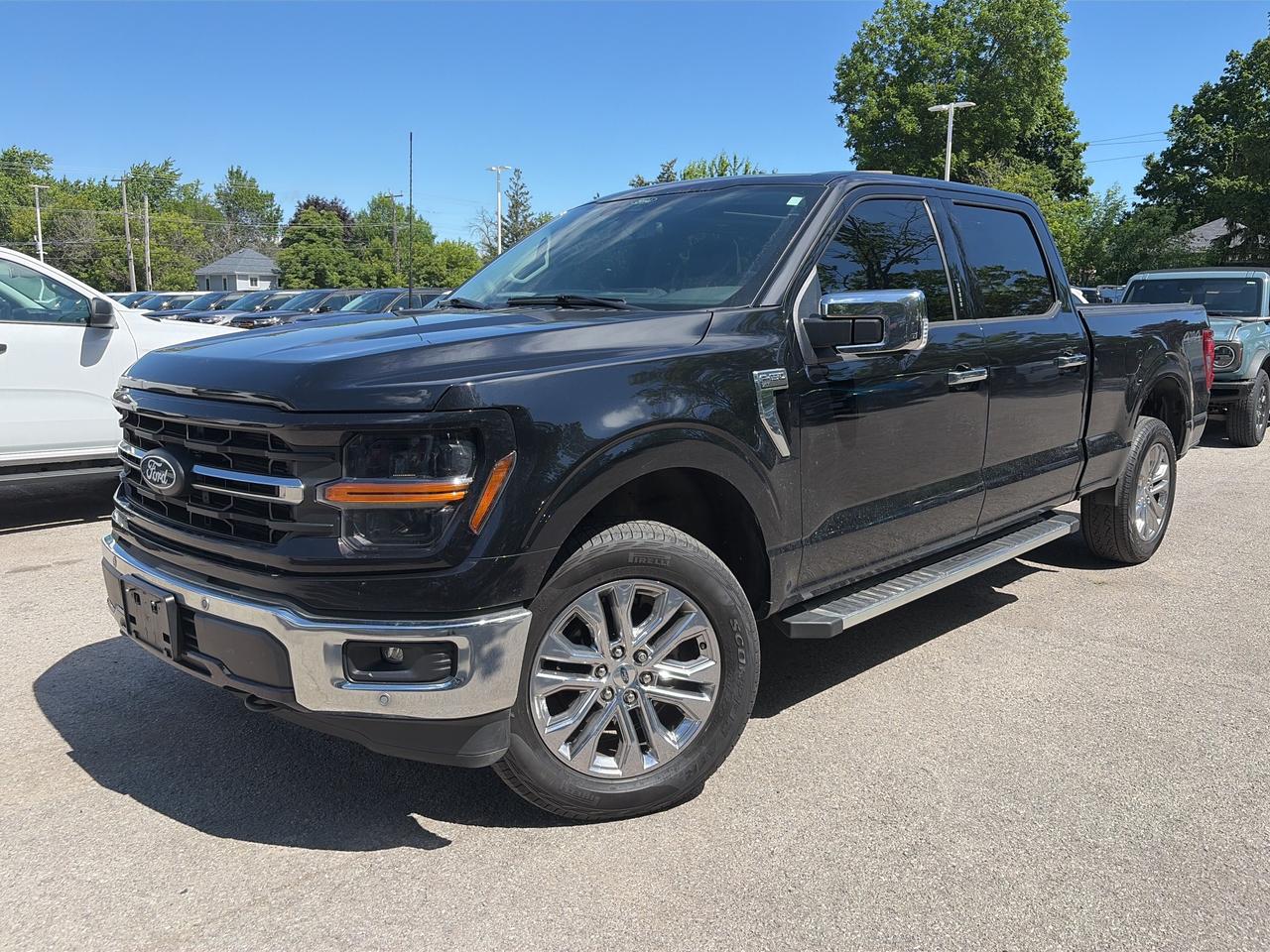 2024 Ford F-150 XLT 4WD SuperCrew 6.5' Box Photo