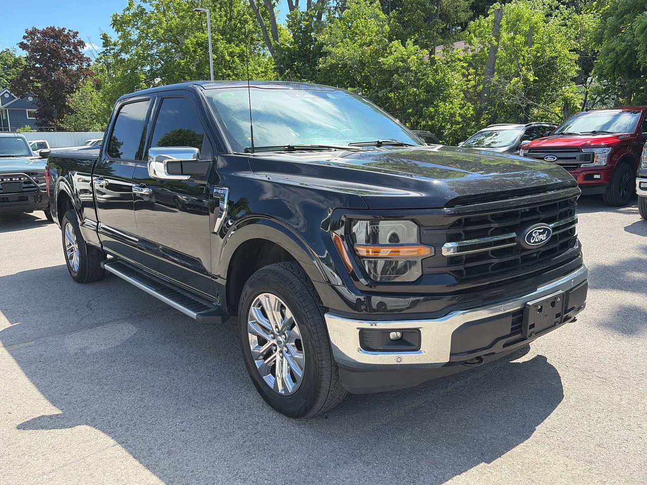 2024 Ford F-150 XLT 4WD SuperCrew 6.5' Box Photo
