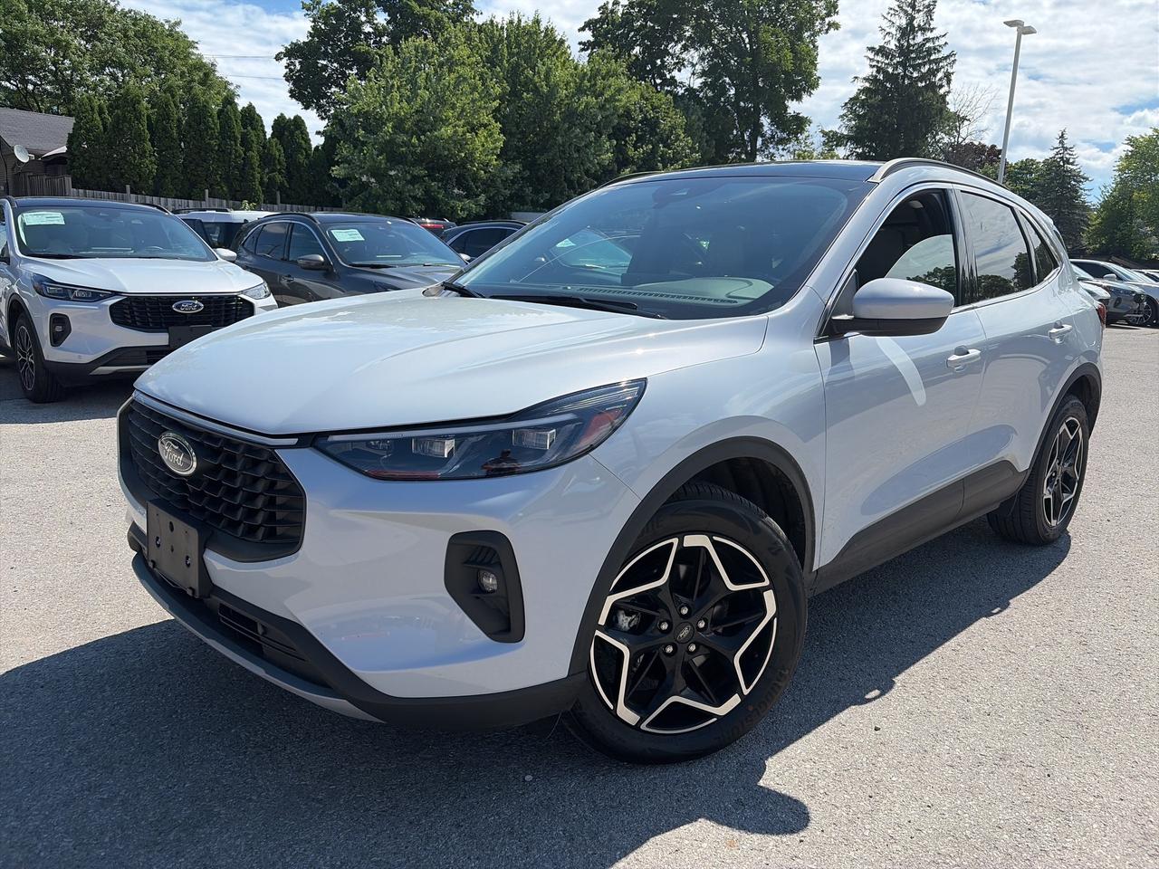 2026 Ford Escape Platinum AWD Photo