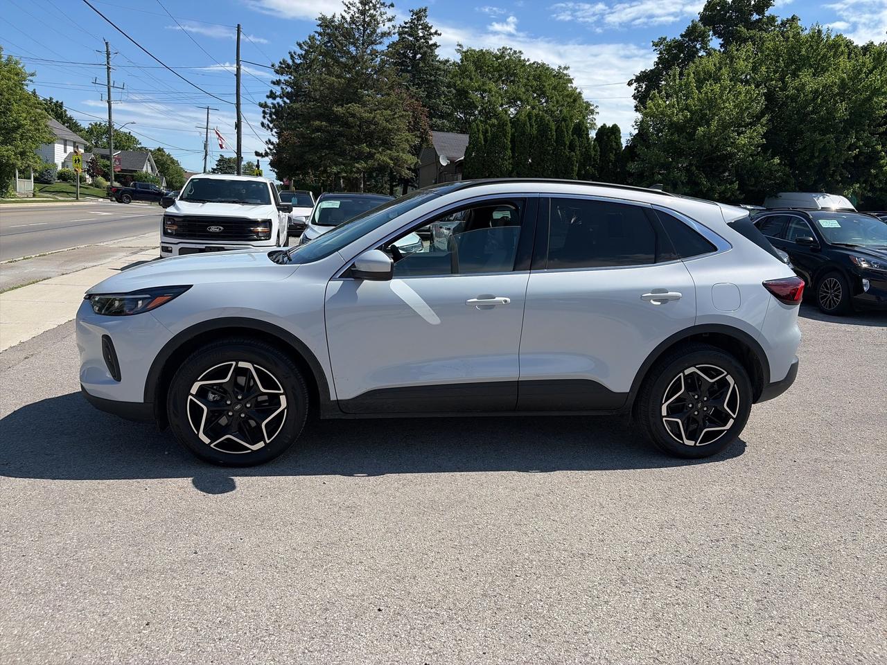 2026 Ford Escape Platinum AWD Photo