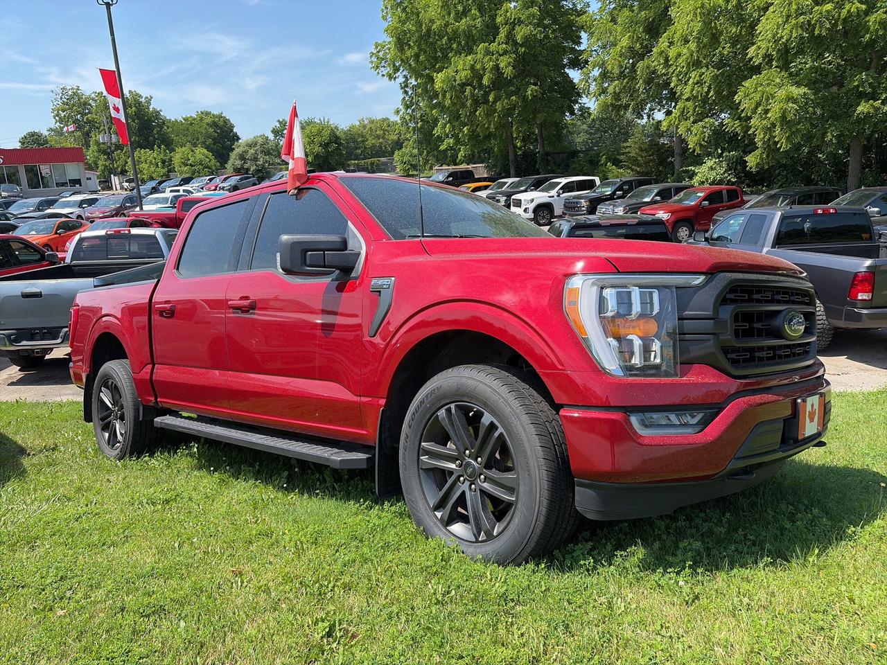 2021 Ford F-150 XLT, BACK UP CAM, REMOTE START, CLEAN CARFAX! Photo