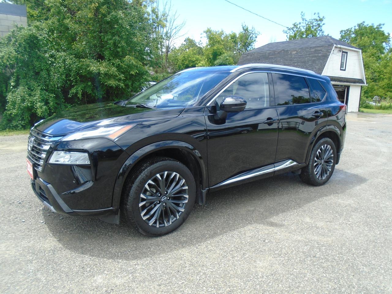 2024 Nissan Rogue Platinum Photo0