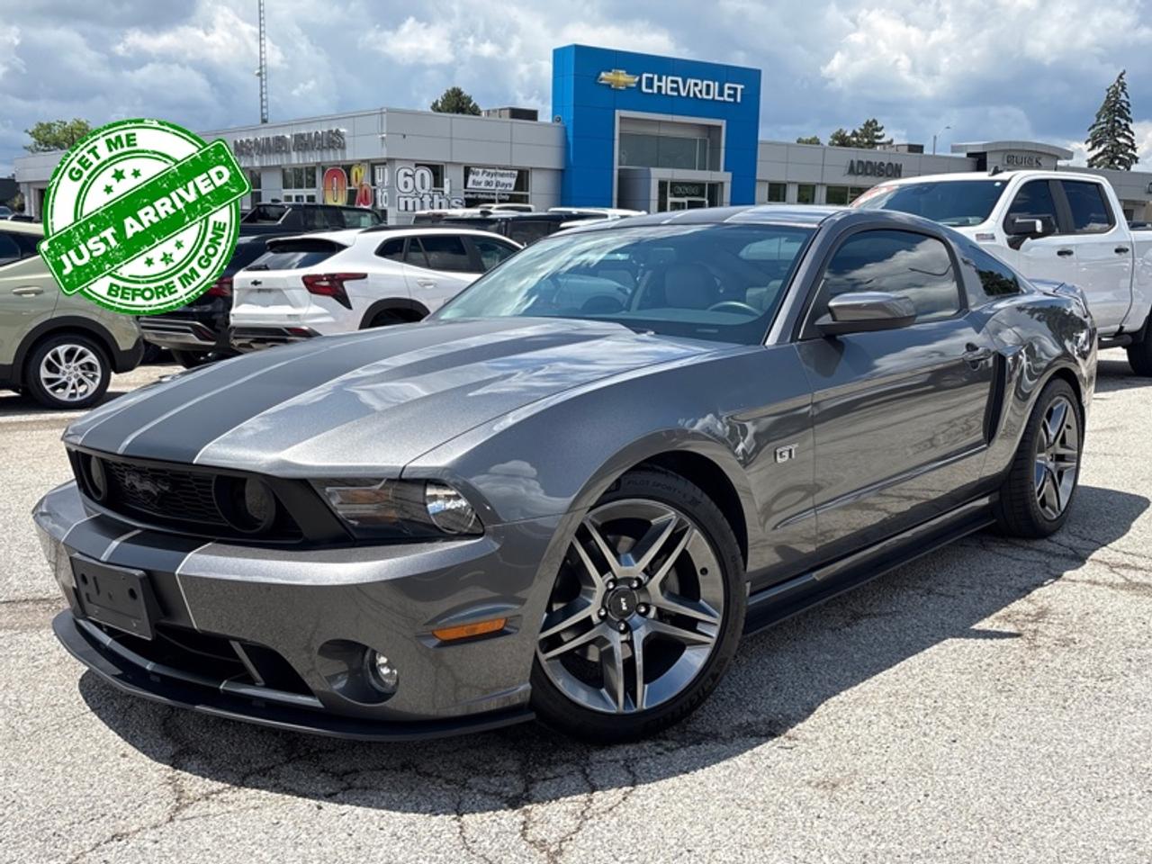2010 Ford Mustang GT  - Low Mileage Photo