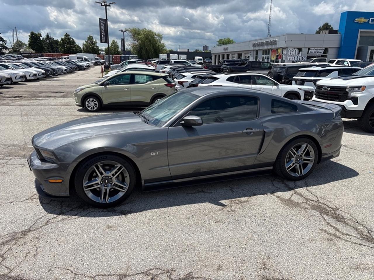 2010 Ford Mustang GT  - Low Mileage Photo3